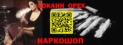 МДПВ Кингисепп