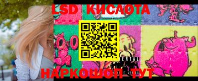 МДПВ Кингисепп