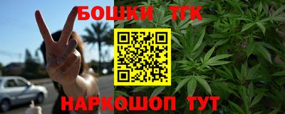 МДПВ Кингисепп