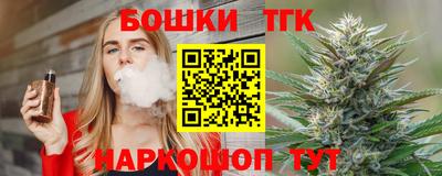МДПВ Кингисепп