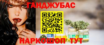 МДПВ Кингисепп