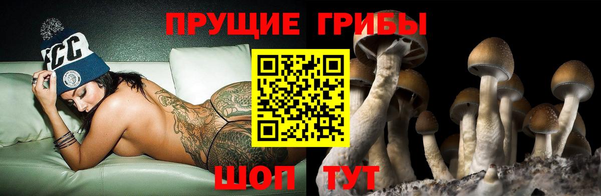 Псилоцибиновые грибы прущие грибы Куйбышев